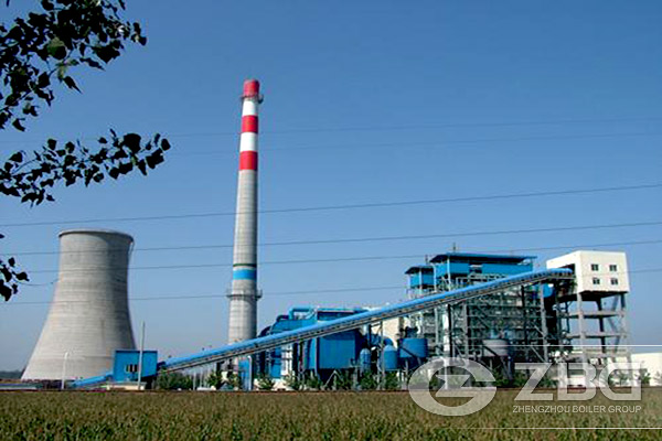 Biomass Cogeneration System and Suppliers