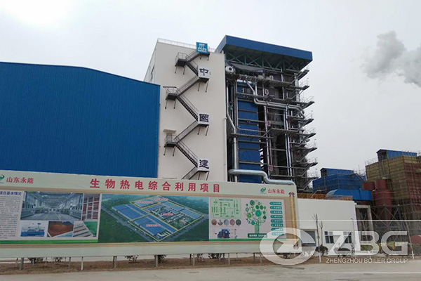 Type Selection of EFB Biomass Power Plant Boiler