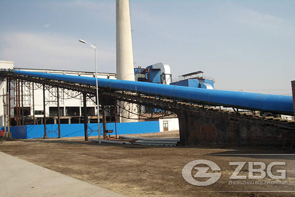 Biomass Power Plant Boiler in Southeast Asia
