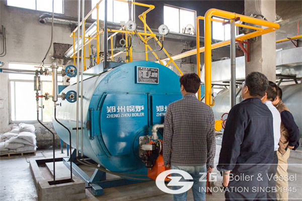 Gas Fired Hot Water Boiler For Sale Price