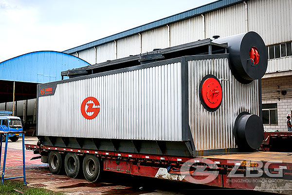 1.25 MP Water Tube 20 Ton Boiler With Natural Gas and Fuel Oil Dual Burner