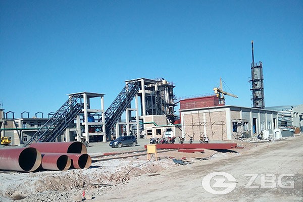 Thermal Power Plant 30mw Coal-fired Boiler VS Biomass Boiler