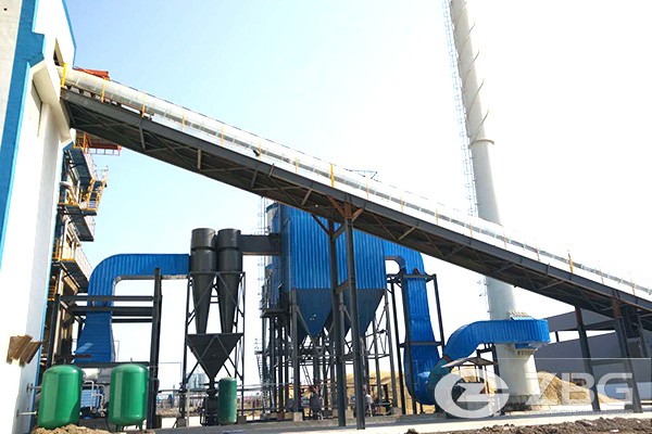 Biomass Steam Boiler With 8mw Power Generation