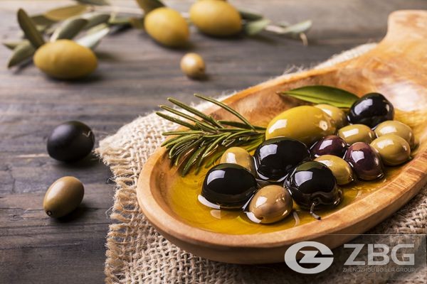 5 TPH Olive Husk Olive Residues Biomass Boilers