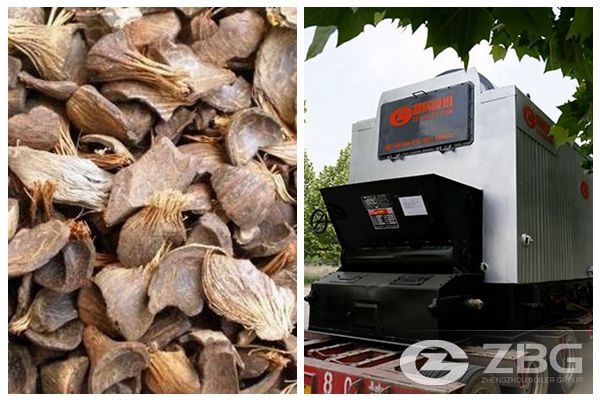 solid biomass boiler with palm kernel shell, Cashew shell & wood pellet