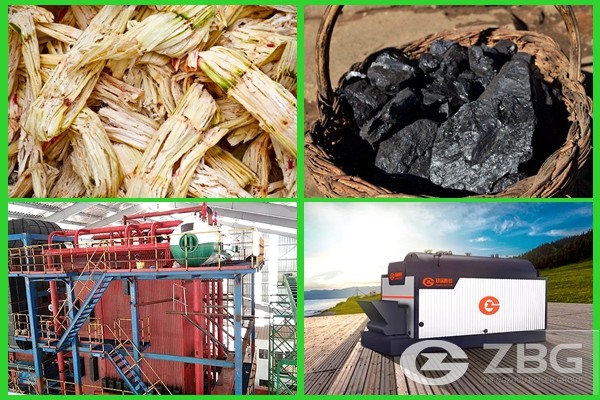 Coal-fired biomass dual-fuel boiler