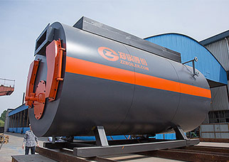 WNS Gas Hot Water Boiler