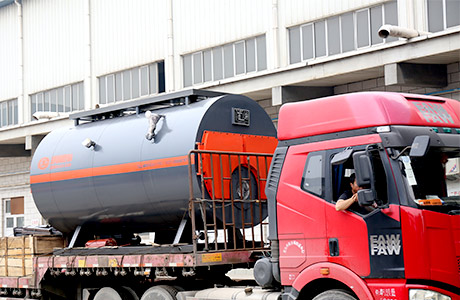 Gas Fired Boiler sale