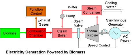 Biomass Power Plant