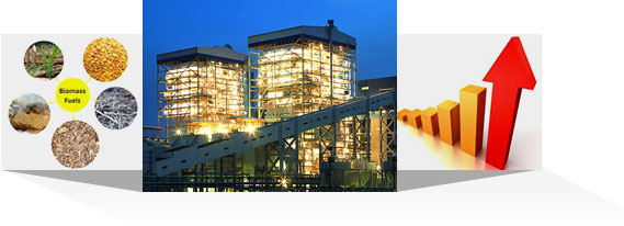 power from biomass