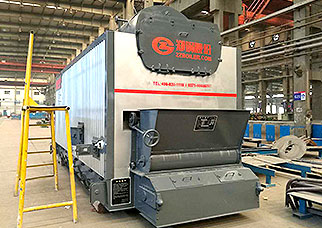 DZL Hot Water Boiler