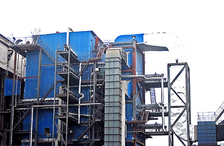Biomass Fired Boiler supplier