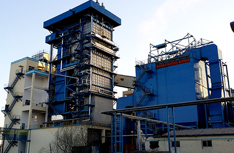 Circulating Fluidized Bed Steam Boiler