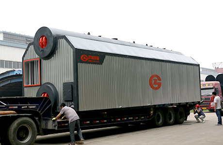 coal Fired steam Boiler sale