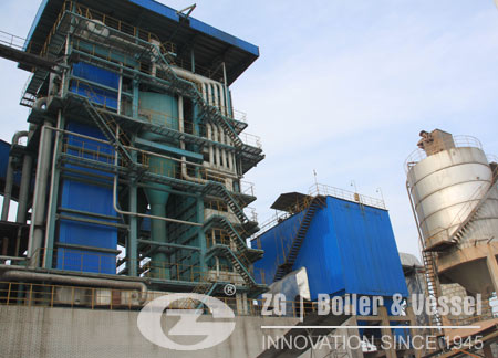 Biomass Fuel For Industrial Boilers