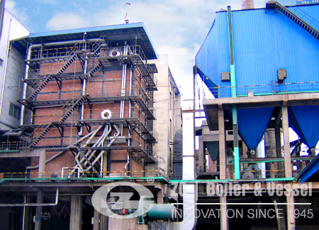 Fertilizer Plant Steam Boiler Types