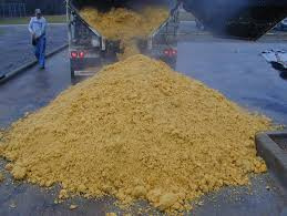 distillers grains