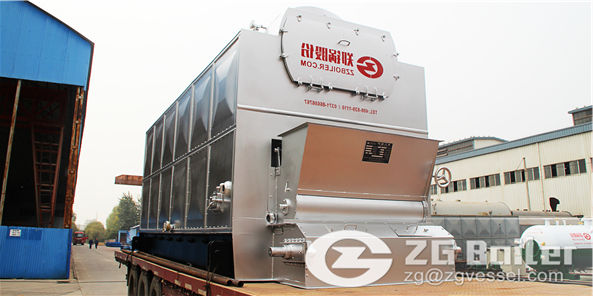 dzl biomass fired boiler