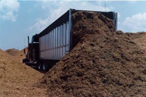cogeneration of bagasse boiler
