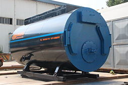gas fired hot water boiler