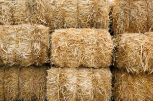rice straw
