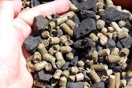 coal-biomass co-firing