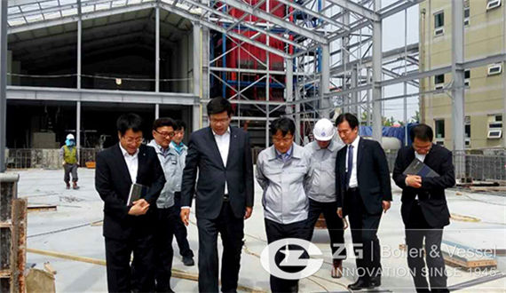 major visit 30t biomass boiler