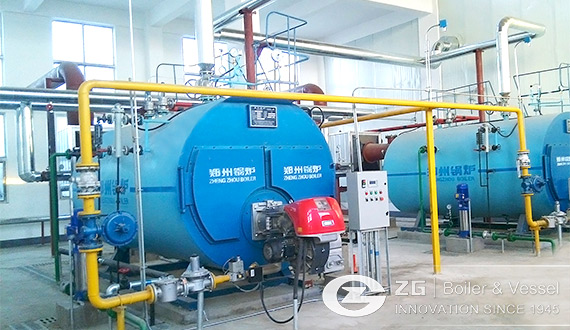 3 Ton/hour Gas Fired Boiler in Fertilizer Industry