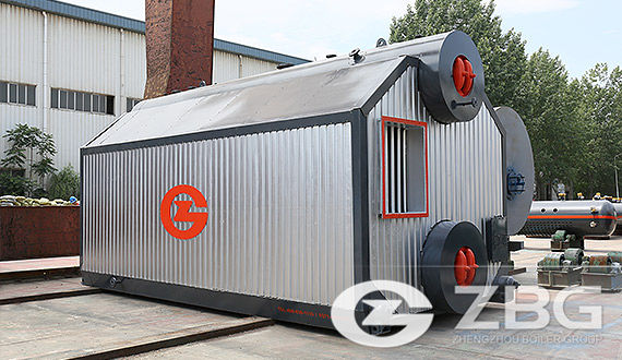 Double-drum Chain Grate Steam Boiler Exporter to India