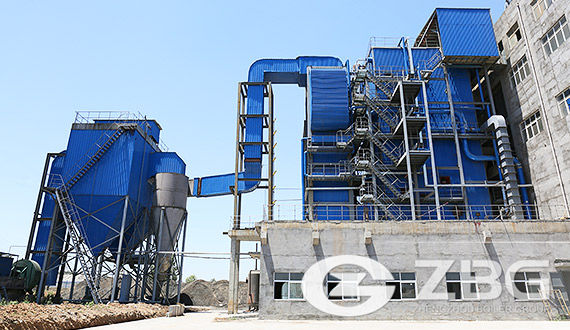 Power Plant Boiler In Co-generation/CHP