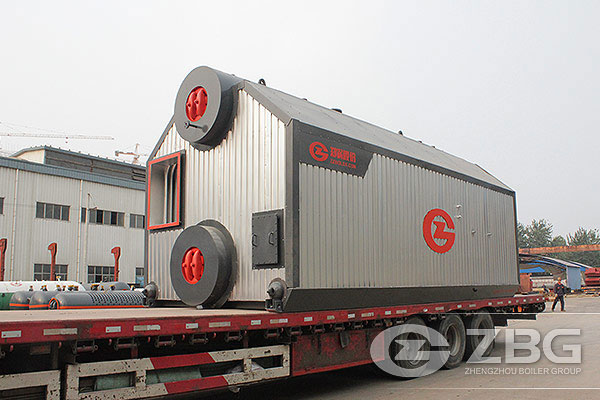 coal and biomass chain grate boiler