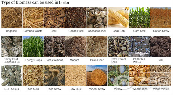 types of biomass fuels