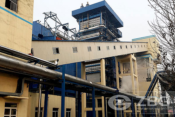 Coal Steam Boiler in Fertiliser Plant