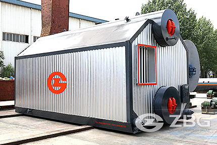 Biomass Fired Boiler