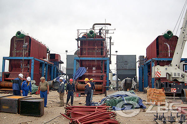Mongolia 20 ton chain grate boiler